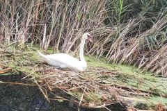 IMG-1128aacde21f199ad50aa9a4a1773173-V