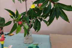 IMG-1101ba8559a48cdb40b216b8c01af797-V