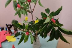 IMG-a7fa4889237b7eca50624f3fffbb4fb2-V