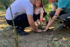 IMG-6541b4aa66490de5a494abbdc08c7f16-V