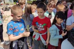 IMG-8cdca5a3815f404611cfa11bfc002593-V