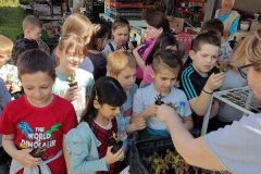 IMG-ba6f9b8afa102940921b6620773d4a93-V